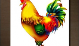 公鸡漫画,幽默演绎生活百态